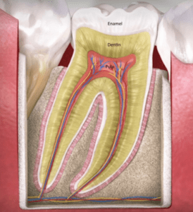 Tooth profile